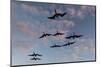 Great Frigate birds (Fregata minor ridgwayi), South Plaza Island, Galapagos islands, Ecuador.-Sergio Pitamitz-Mounted Photographic Print