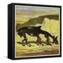 Great Funny Fish-Ernest Henry Griset-Framed Stretched Canvas