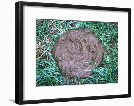 Great Gag Gift (Pile of Poop on Grass) Art Poster Print-null-Framed Poster