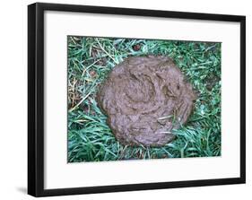 Great Gag Gift (Pile of Poop on Grass) Art Poster Print-null-Framed Poster