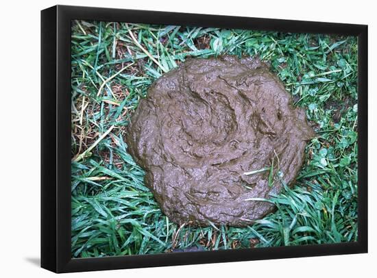 Great Gag Gift (Pile of Poop on Grass) Art Poster Print-null-Framed Poster