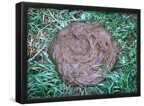 Great Gag Gift (Pile of Poop on Grass) Art Poster Print-null-Framed Poster