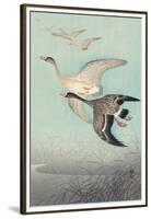 Great Geese in Flight-Ohara Koson-Framed Art Print