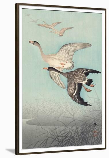 Great Geese in Flight-Ohara Koson-Framed Art Print