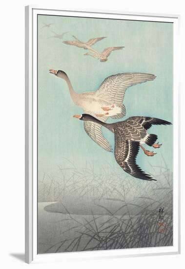 Great Geese in Flight-Ohara Koson-Framed Art Print