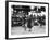 Great-Grandmother Pacing Her Irish Wolfhound, During Cruft's Dog Show-null-Framed Photographic Print