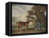 Great-Grandson of "Darley Arabian" Raced 1769-1770 in 18 Races All of Which He Won-George Stubbs-Framed Stretched Canvas