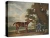 Great-Grandson of "Darley Arabian" Raced 1769-1770 in 18 Races All of Which He Won-George Stubbs-Stretched Canvas