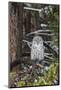 Great Gray Owl, Yellowstone National Park, Wyoming-Richard & Susan Day-Mounted Photographic Print