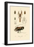 Great Green Bush Cricket, 1833-39-null-Framed Giclee Print