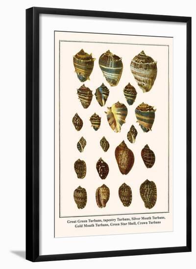 Great Green Turbans, Tapestry Turbans, Silver Mouth Turbans, Gold Mouth Turbans, etc.-Albertus Seba-Framed Art Print