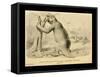 Great Ground Sloth Of South America-Joseph Smit-Framed Stretched Canvas