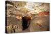 Great Hall of Bulls at Caves of Lascaux-null-Stretched Canvas