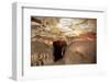 Great Hall of Bulls at Caves of Lascaux-null-Framed Photographic Print