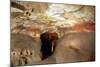 Great Hall of Bulls at Caves of Lascaux-null-Mounted Photographic Print