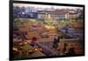 Great Hall of the People, Red Pavilion, Forbidden City, Beijing, China-William Perry-Framed Photographic Print