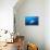 Great Hammerhead Shark Front-View of Back-null-Stretched Canvas displayed on a wall