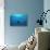 Great Hammerhead Shark-null-Stretched Canvas displayed on a wall