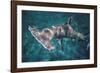 Great Hammerhead Shark-null-Framed Photographic Print