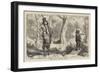 Great Hawk and Small Mormon-Arthur Boyd Houghton-Framed Giclee Print