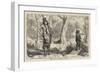 Great Hawk and Small Mormon-Arthur Boyd Houghton-Framed Giclee Print