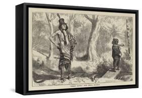 Great Hawk and Small Mormon-Arthur Boyd Houghton-Framed Stretched Canvas