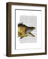 Great Hog Fish-Fab Funky-Framed Art Print