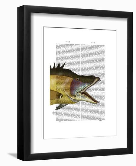 Great Hog Fish-Fab Funky-Framed Art Print
