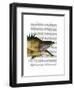 Great Hog Fish-Fab Funky-Framed Art Print