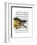 Great Hog Fish-Fab Funky-Framed Art Print