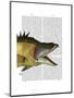 Great Hog Fish-Fab Funky-Mounted Art Print