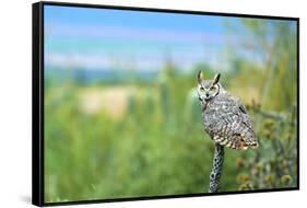 Great Horned Owl, also known as the Tiger Owl-Richard Wright-Framed Stretched Canvas