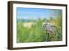 Great Horned Owl, also known as the Tiger Owl-Richard Wright-Framed Photographic Print