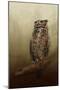 Great Horned Owl at Shiloh-Jai Johnson-Mounted Giclee Print