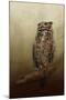 Great Horned Owl at Shiloh-Jai Johnson-Mounted Giclee Print