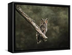 Great Horned Owl at Shiloh-Jai Johnson-Framed Stretched Canvas