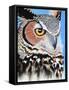 Great Horned Owl Eye-Michelle Faber-Framed Stretched Canvas