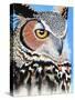 Great Horned Owl Eye-Michelle Faber-Stretched Canvas