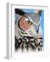 Great Horned Owl Eye-Michelle Faber-Framed Giclee Print