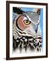 Great Horned Owl Eye-Michelle Faber-Framed Giclee Print