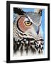 Great Horned Owl Eye-Michelle Faber-Framed Giclee Print