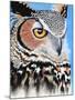 Great Horned Owl Eye-Michelle Faber-Mounted Giclee Print