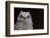 Great-horned Owl, Fledgling-Ken Archer-Framed Photographic Print