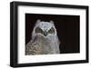 Great-horned Owl, Fledgling-Ken Archer-Framed Photographic Print