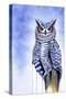 Great Horned Owl in Blue-Michelle Faber-Stretched Canvas