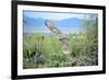 Great Horned Owl in Flight, also known as the Tiger Owl-Richard Wright-Framed Photographic Print