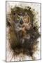 Great Horned Owl In The Cemetery-Jai Johnson-Mounted Giclee Print