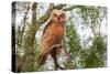 Great horned owl perched on branch, Texas, USA-Karine Aigner-Stretched Canvas