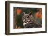 Great Horned Owl with Blurred Autumn Foliage-W^ Perry Conway-Framed Photographic Print