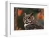 Great Horned Owl with Blurred Autumn Foliage-W^ Perry Conway-Framed Photographic Print